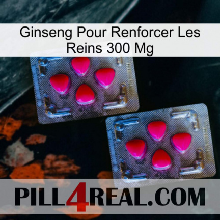 Ginseng For Reinforcing Kidney 300 Mg 14
